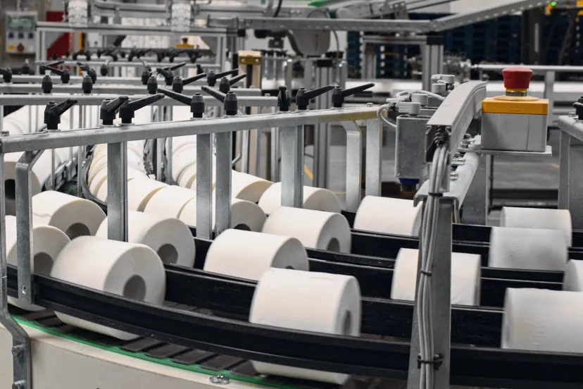 Rolos de papel na esteira curva de uma linha de conversão, entre as guias de aço, com o botão de emergência à direita